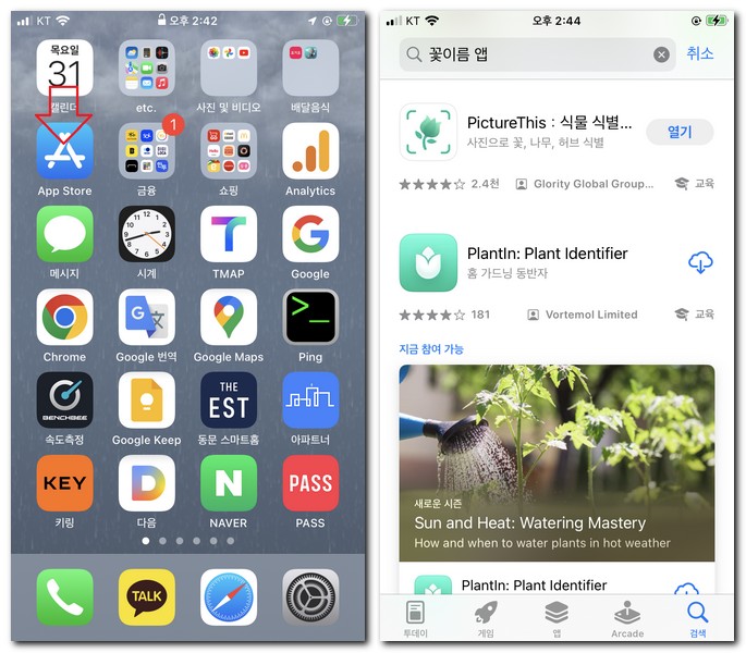 아이폰 꽃이름 알려주는 앱 설치해보기